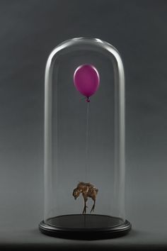 a red balloon is floating in a glass case with a horse under it and a black base