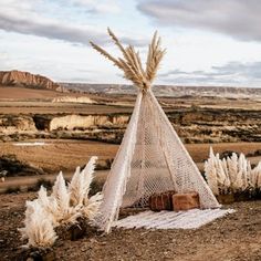 a teepee in the middle of nowhere with some plants growing out of it's sides