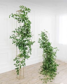 two tall planters with green plants in them on the floor next to each other