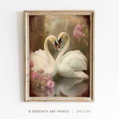 two white swans in water with pink flowers