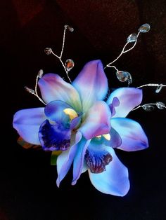 a blue flower is sitting on a black surface