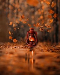 a red lantern sitting on top of a wet ground next to leaves flying in the air