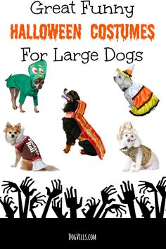 halloween costumes for large dogs with the words great funny halloween costumes for large dogs on them