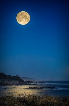 the full moon shines brightly in the night sky over an ocean and grassy area