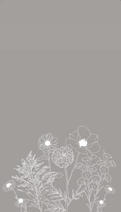 an image of flowers on a gray background