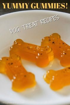 some gummy bears are on a plate with the caption yummy gummies dog treat recipes