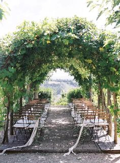 an outdoor ceremony set up with chairs and greenery