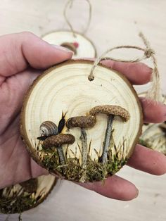 a hand holding a piece of wood with snails on it and some grass around it