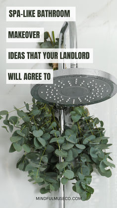 a shower head with plants in it and the words spa like bathroom makeover ideas that your land lord will agree to