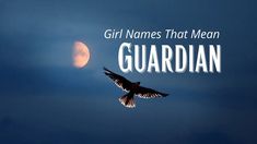 a bird flying in the sky next to a full moon with text over it that reads boy names that mean guardian