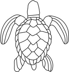 a drawing of a turtle on the app