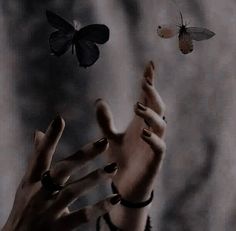 a woman's hands reaching for a butterfly