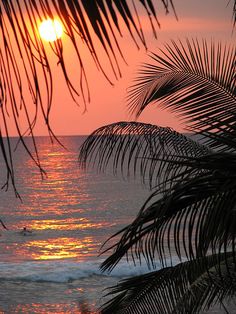 the sun is setting over the ocean with palm trees