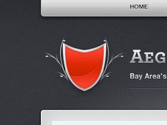 the homepage for aeg's bay area security system