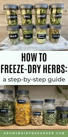 how to freeze - dry herbs in jars with text overlay reading how to freeze - dry herbs a step - by - step guide