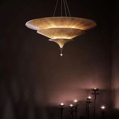 a chandelier hanging from the ceiling in a dark room