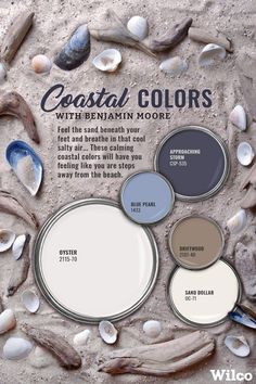 an advertisement for coastal colors with shells and seashells