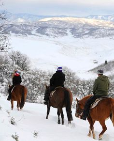 There's nothing like exploring the stunning trails of Steamboat Springs on horseback at Del’s Triangle 3 Ranch! 🐴🌲 The views are breathtaking, and the friendly guides make it fun for everyone—whether you're just starting or a seasoned rider. Grab a friend and saddle up for an unforgettable adventure in the mountains! 🌄❤️ 

#delstriangle3ranch #steamboatsprings #horseriding Chocolate Book, Family Destinations, On Horseback, Winter Activities, Horseback Riding, Snowboarding