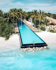 the instagram page for instagram com shows an image of a long swimming pool with palm trees in the background