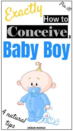 a baby boy book with the title'how to conceive a baby boy '