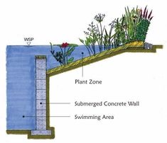 an image of a water source with plants growing out of the top and below it