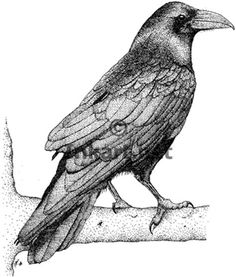 a drawing of a bird sitting on top of a tree branch with its beak open