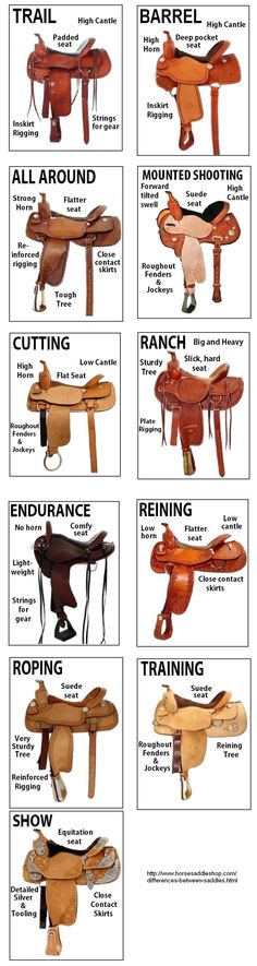 different types of saddles and their names