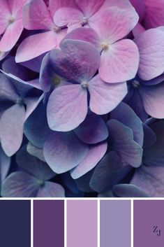 the color scheme is purple and has many different flowers on it, including hydrangeas