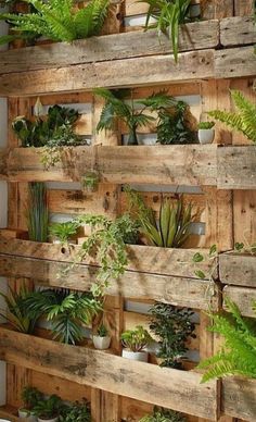 a wooden pallet filled with lots of different types of plants and greenery on it