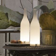 two white bottles sitting on top of a table next to a potted cacti