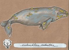 a drawing of a blue whale with yellow spots on it's body and head