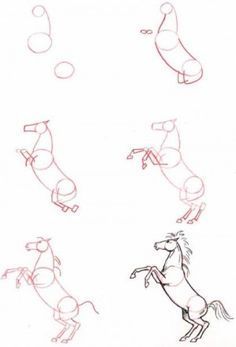 some drawings of horses that are in different positions