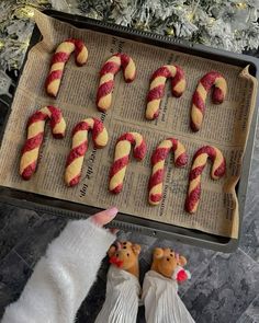 Baking Christmas Aesthetic, Peppermint Christmas Aesthetic, Christmas Aesthetic Baking, Christmas Baking Aesthetic, Lights For Christmas