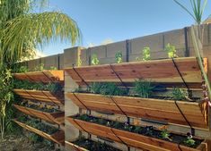 several wooden planters with plants growing on them