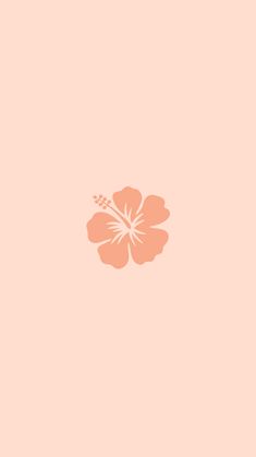 an orange flower on a pink background