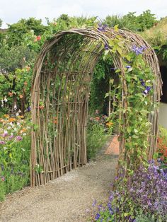 a garden with lots of flowers and plants around it