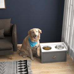 a dog sitting on the floor next to his food dish and water bowl in front of him