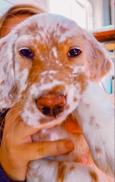 a woman holding a dog in her arms while she is petting it's face