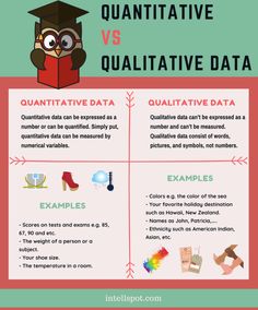 the differences between quatitive and quatitive data in an infographle