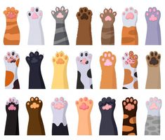 many different colored paws with paw prints on them