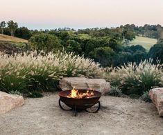 a fire pit sitting in the middle of a field