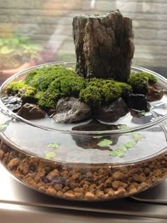 there is a glass bowl with moss growing on the rocks and water in it, sitting on a window sill