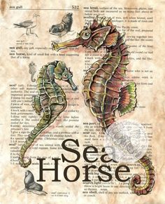 two seahorses sitting on top of an old book