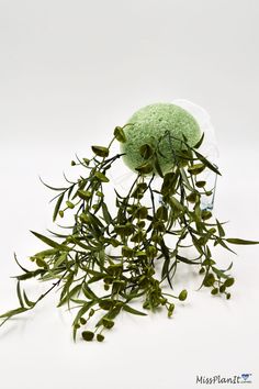 a pile of green leaves sitting on top of a white table next to a round object