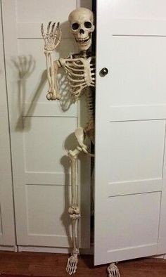 a skeleton standing in front of a door with it's arms and legs stretched out