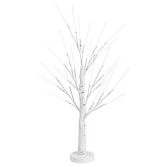 a white tree with no leaves on it