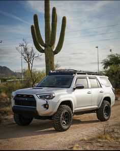 a white four - door suv parked in front of a cactus