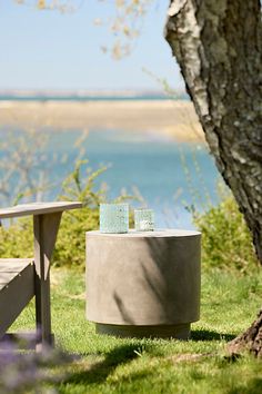 a bench sitting next to a tree on top of a lush green field with water in the background