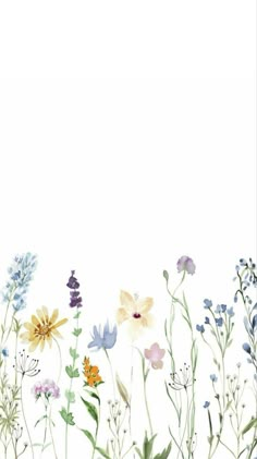 watercolor flowers on white background with space for text