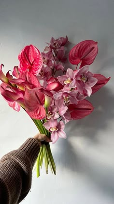 a person holding a bouquet of pink flowers in their hand, against a white wall